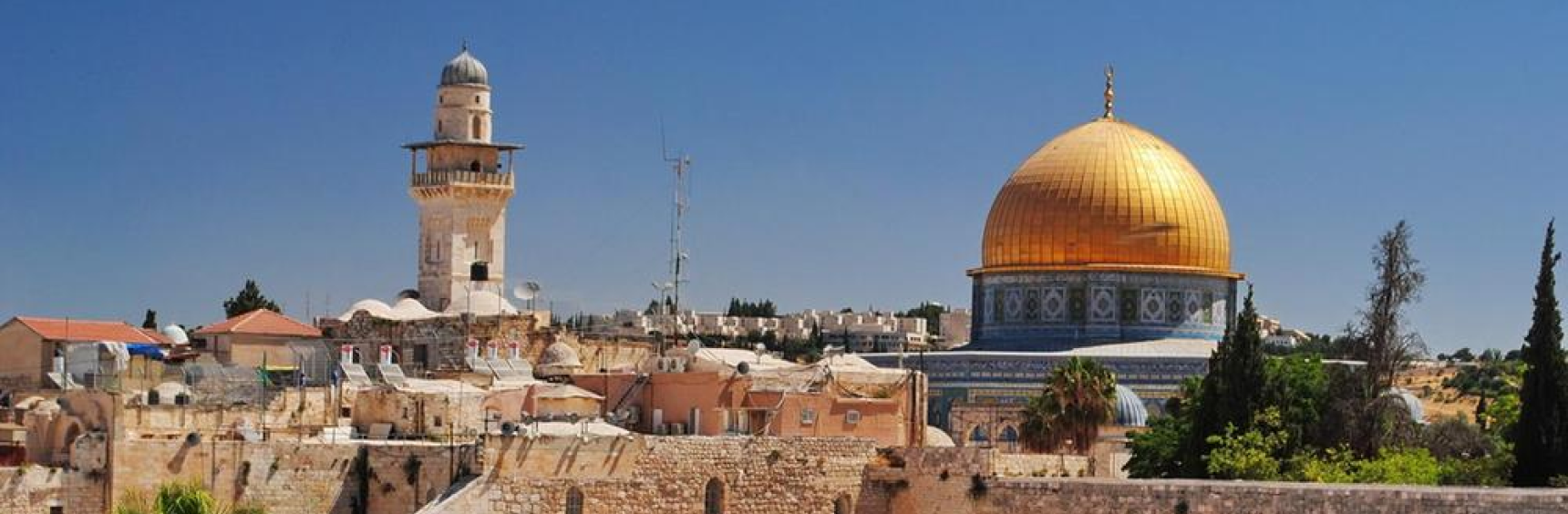 ALL Автоматизация отдела продаж компании, предоставляющей консультационные услуги.